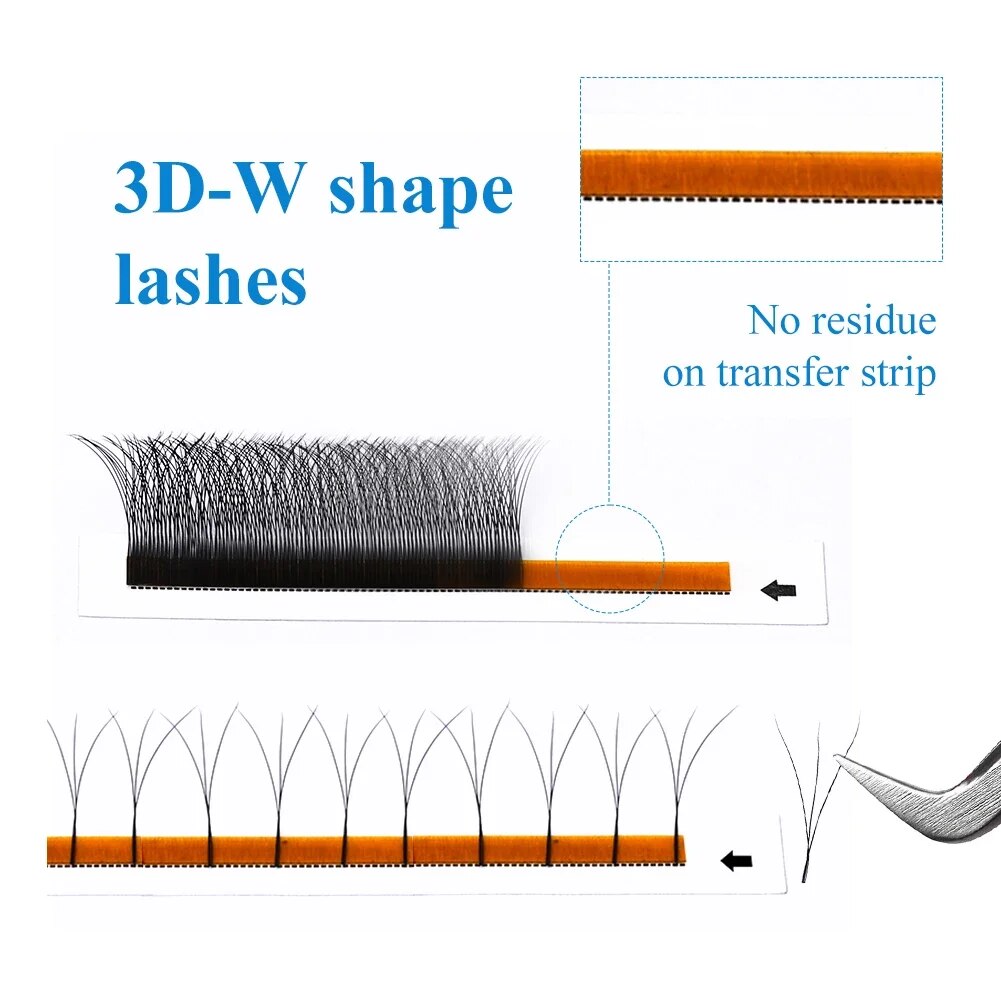 Wendy Lashes W forma suministr - Eyelash Extension For Asian Eyes reseña y precio
