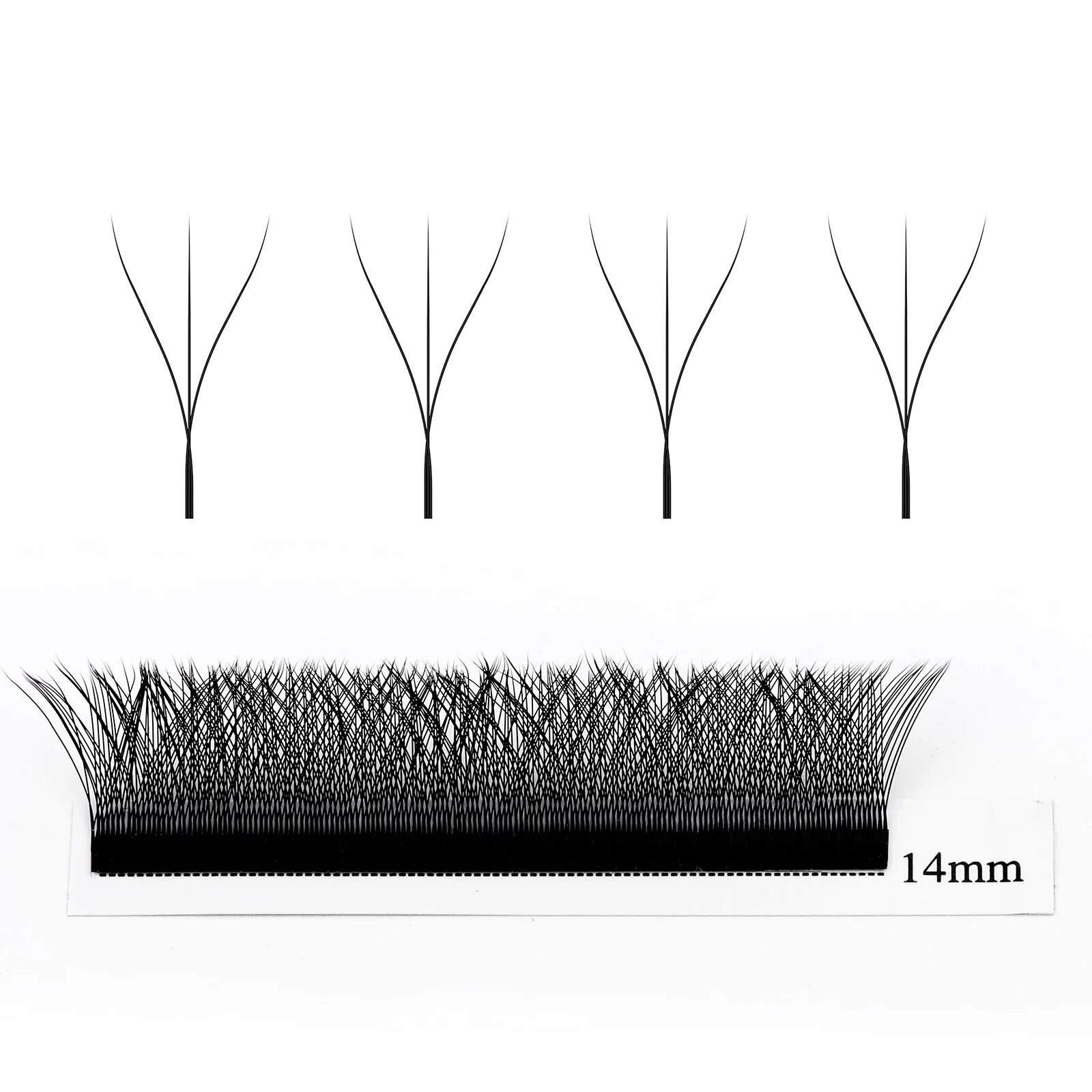 Wendy Lashes W forma suministr - Eyelash Extension For Asian Eyes reseña y precio